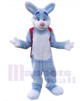 Easter Bunny Rabbit mascot costume