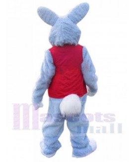 Easter Bunny Rabbit mascot costume