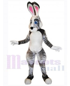 Easter Bunny Rabbit mascot costume