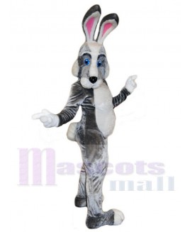 Easter Bunny Rabbit mascot costume