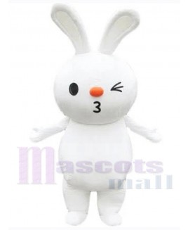 Easter Bunny Rabbit mascot costume