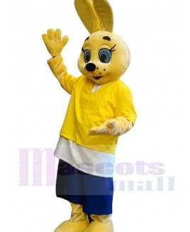 Easter Bunny Rabbit mascot costume