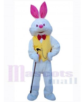 Easter Bunny Rabbit mascot costume