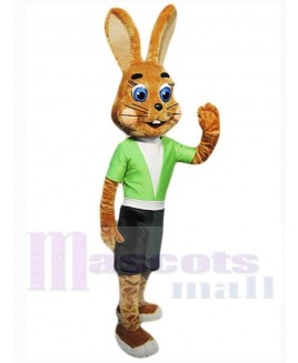 Easter Bunny Rabbit mascot costume