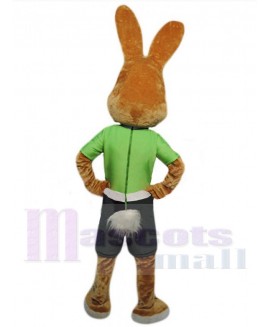 Easter Bunny Rabbit mascot costume