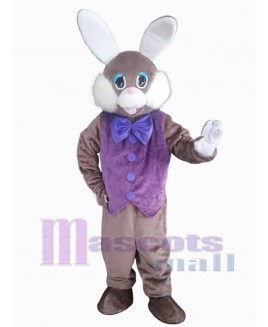 Easter Bunny in Purple Mascot Costume Animal