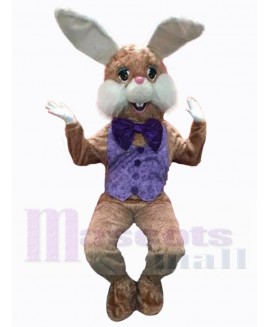 Easter Bunny Rabbit mascot costume