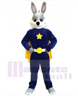 Easter Bunny Rabbit mascot costume