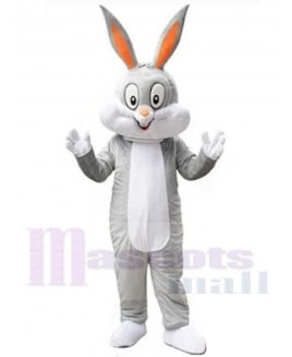 Easter Bunny Rabbit mascot costume