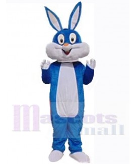 Easter Bunny Rabbit mascot costume