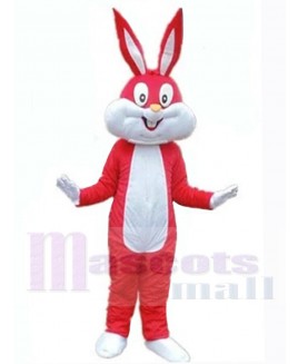 Easter Bunny Rabbit mascot costume