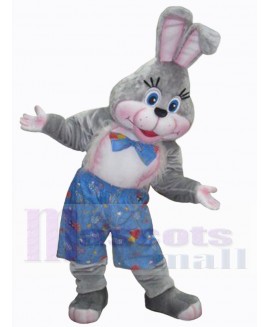 Easter Bunny Rabbit mascot costume