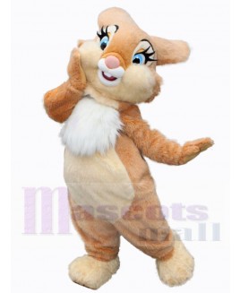 Easter Bunny Rabbit mascot costume