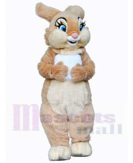 Easter Bunny Rabbit mascot costume