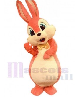 Easter Bunny Rabbit mascot costume