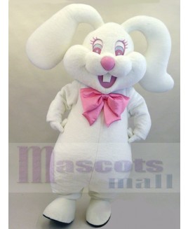 Easter Bunny Rabbit mascot costume