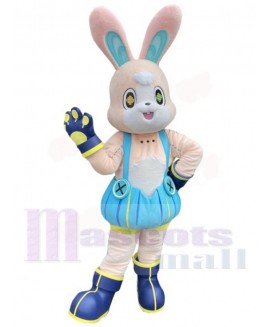 Easter Bunny Rabbit mascot costume