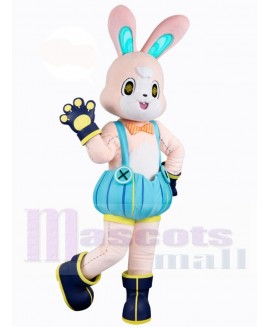 Easter Bunny Rabbit mascot costume