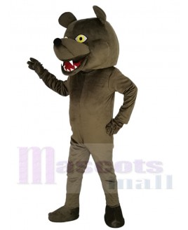 Grizzly Bear mascot costume