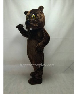 Cute New Brown Woodchuck Mascot Costume