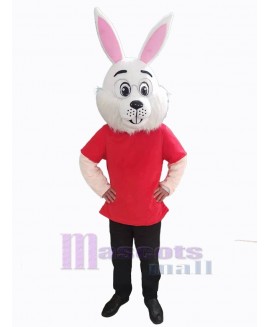 Easter Bunny Rabbit mascot costume