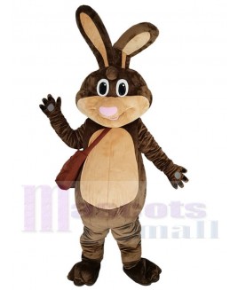 Easter Bunny mascot costume