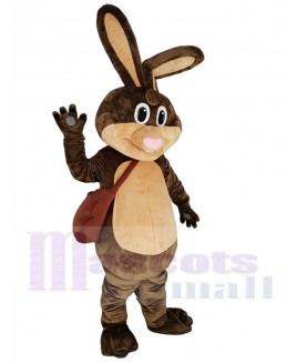 Easter Bunny mascot costume