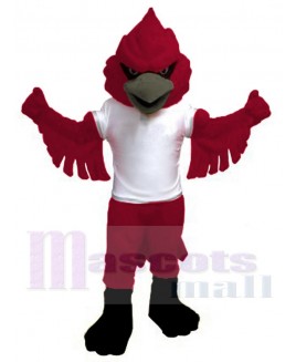 Cardinal mascot costume