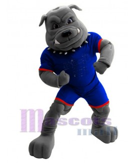 Bulldog mascot costume