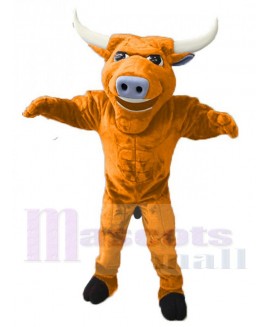 Bull mascot costume