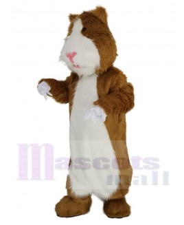 Hamster mascot costume