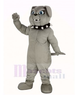 Gray Bulldog Mascot Costume