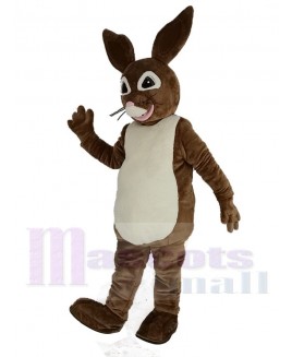 Brown Peter Rabbit Mascot Costume Cartoon