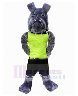 Dog mascot costume