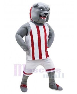 Dog mascot costume