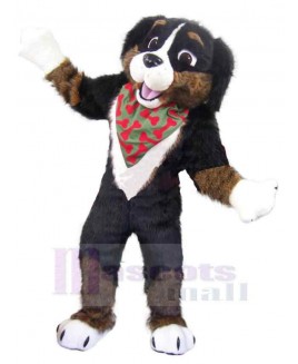 Dog mascot costume