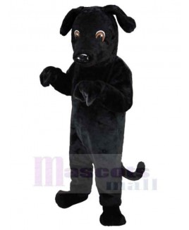 Dog mascot costume