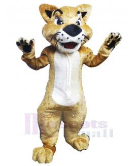 Cat mascot costume