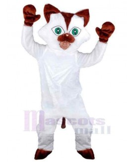 Cat mascot costume