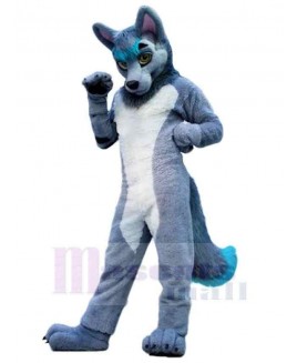 Wolf mascot costume