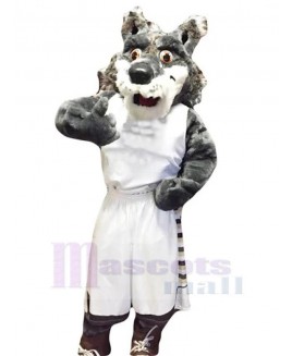 Wolf mascot costume