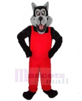 Wolf mascot costume