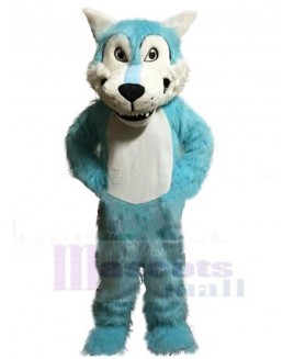 Wolf mascot costume