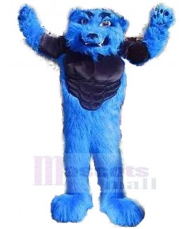 Wolf mascot costume