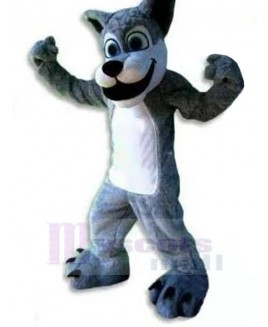 Wolf mascot costume