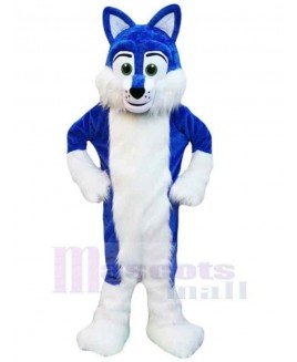 Wolf mascot costume