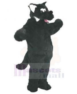 Wolf mascot costume