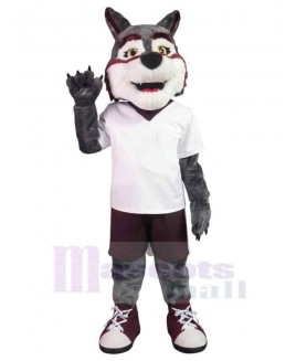 Wolf mascot costume