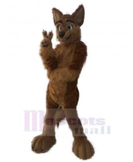 Wolf mascot costume