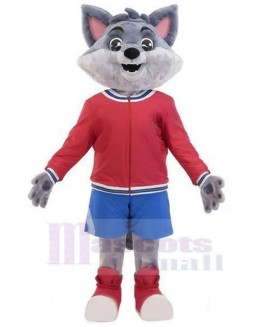 Wolf mascot costume